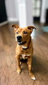 Young Cooper - Photo 3