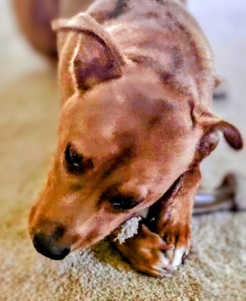 Young Cooper — thumbnail 4