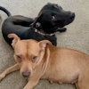 Penny TN - Photo 5