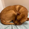 Penny TN - Photo 3