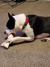 Links - Photo 4