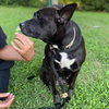 Gabi - Urgent - Photo 2