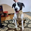 Shaggy - Photo 3