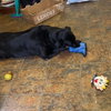Senior Foster - Photo 4
