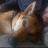 Sammi - Photo 3