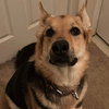 Sammi - Photo 5