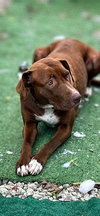 Herby - Photo 9