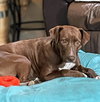 Herby - Photo 4