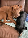 Herby - Photo 7