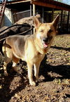 Delilah - Photo 2
