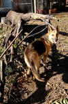 Delilah - Photo 3