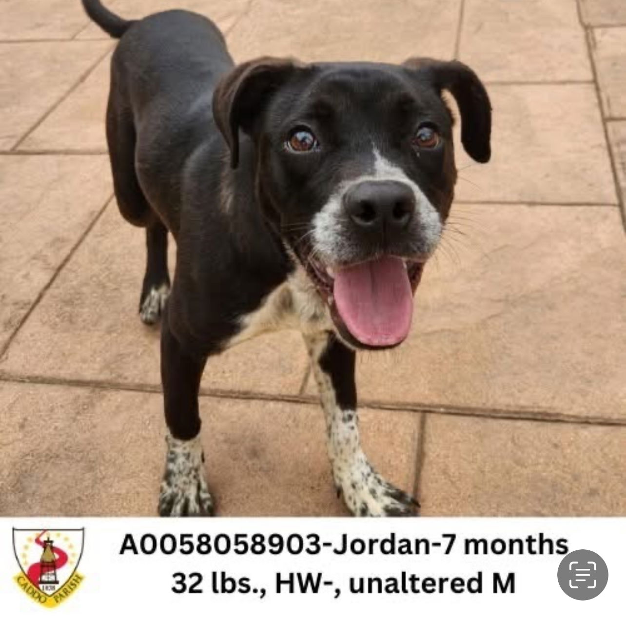 Jordan