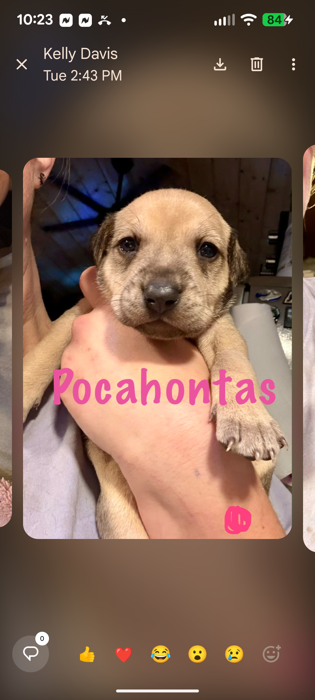 Pocahontas Image