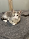Pookie - Photo 2