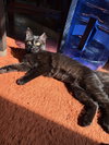 Sabrina - Photo 2