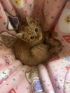 Clementine - Photo 1