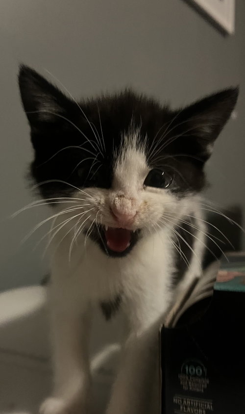 Petey
