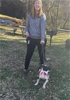 adoptable Dog in earl, NC named GiGi