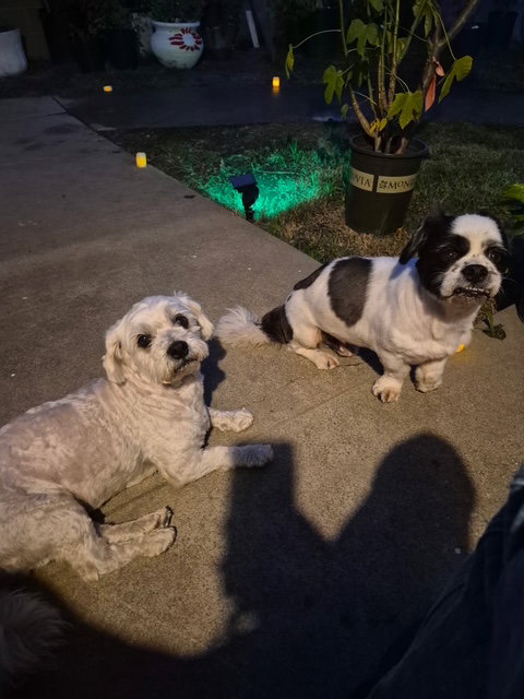 Cash Bonded with Taz