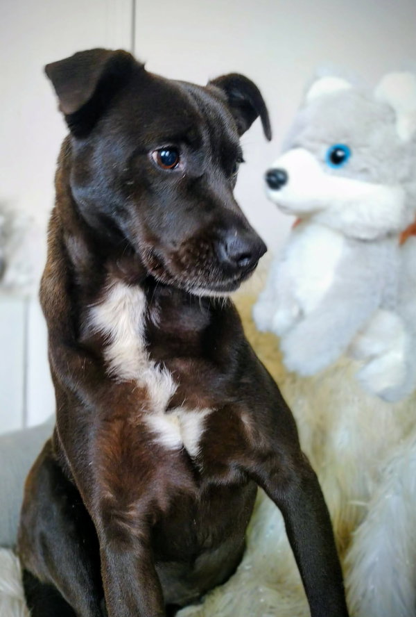 Lulu
