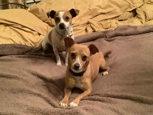 Paris & Milan Bonded Pair