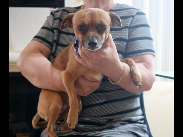 Chico