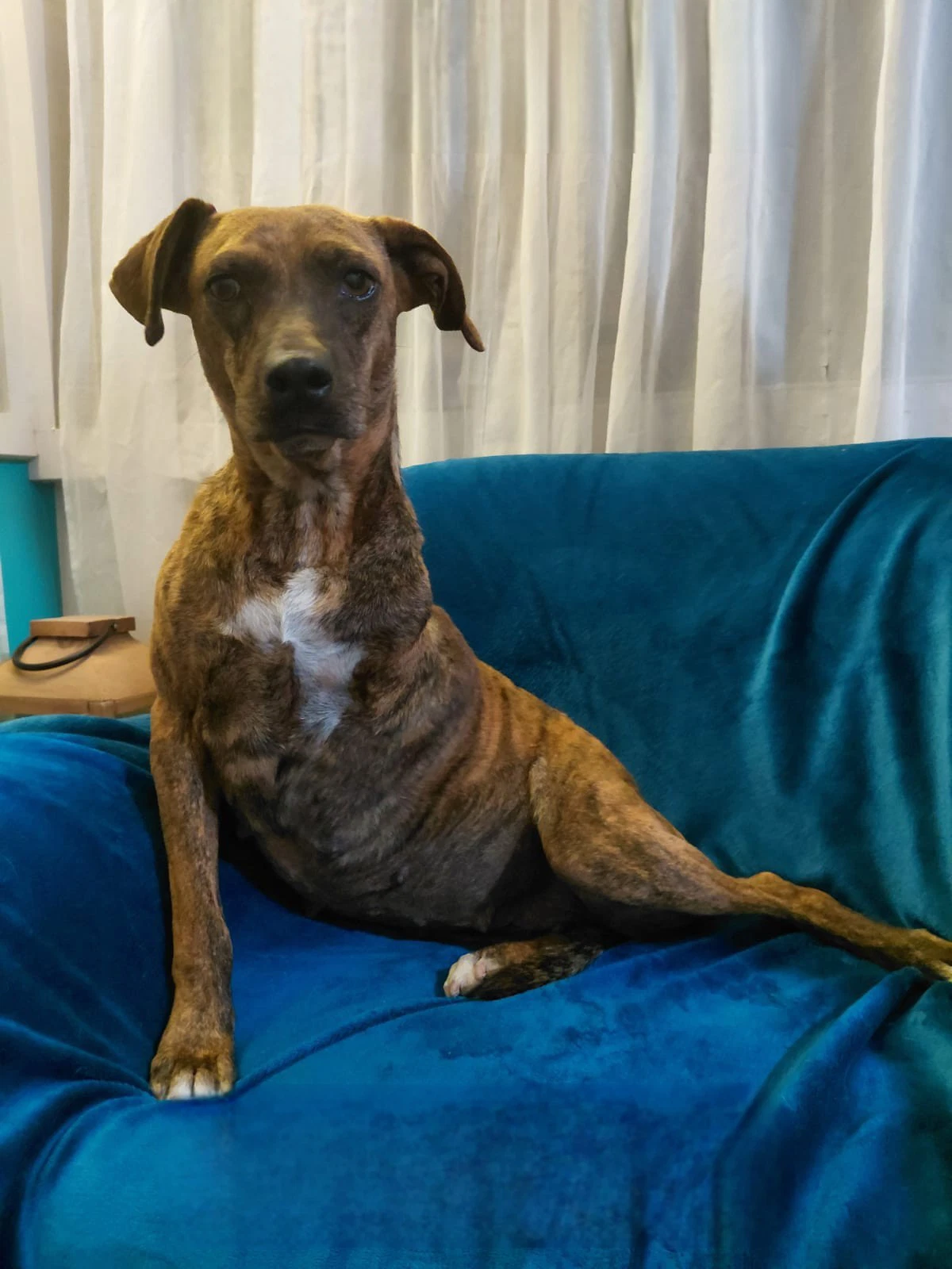Coco