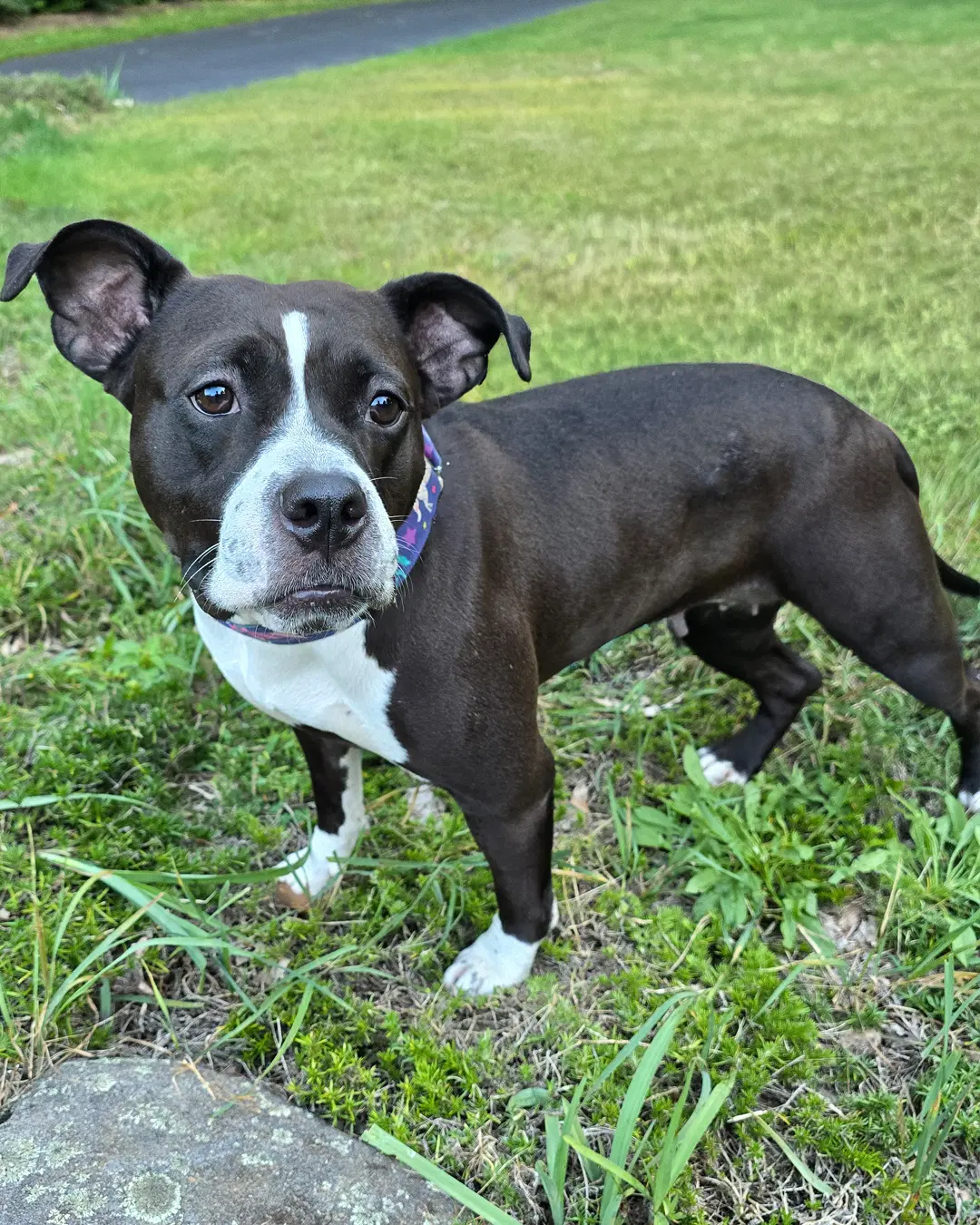 Maddie image 4
