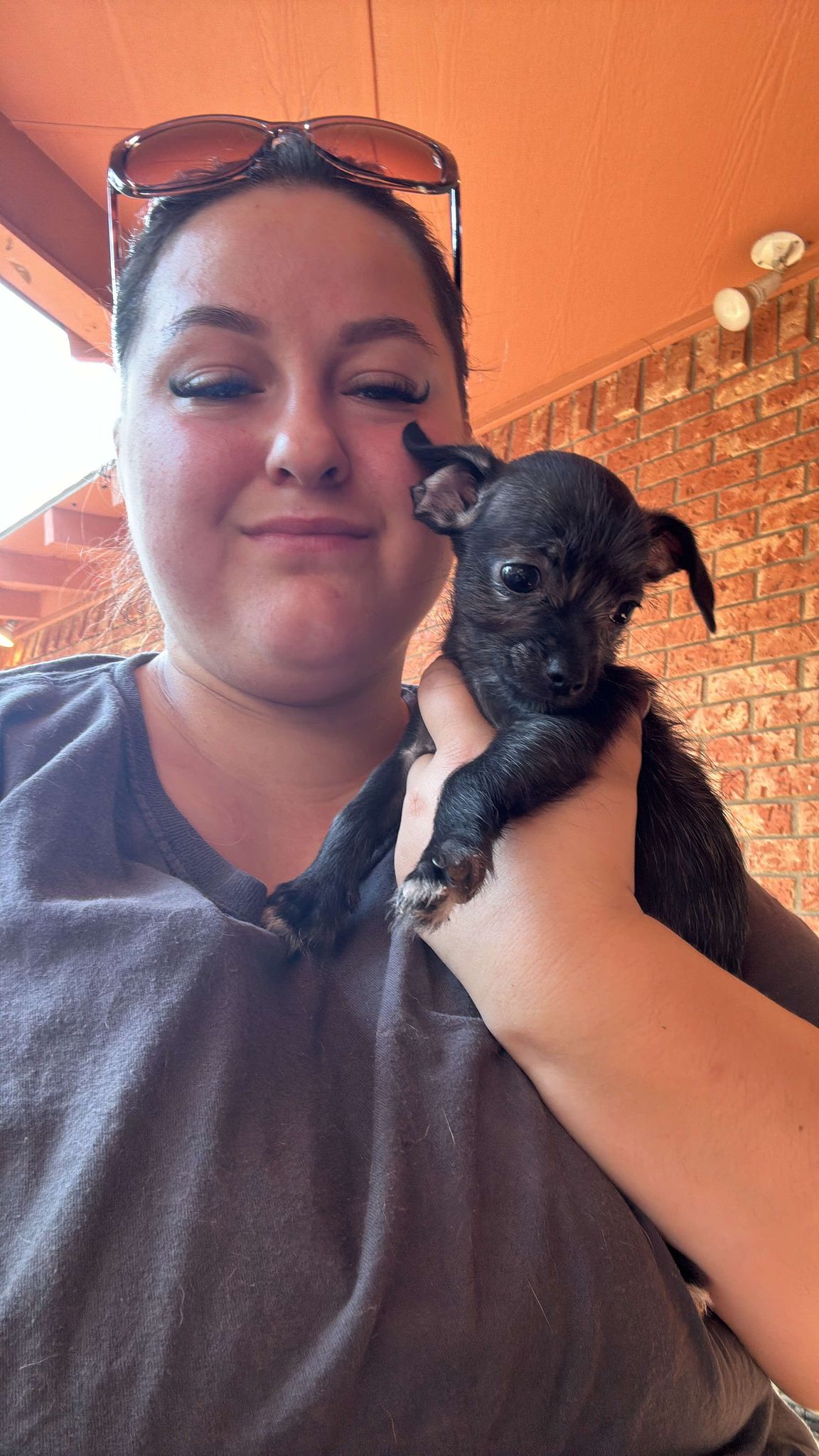 adoptable Dog in Midway, UT named Ted