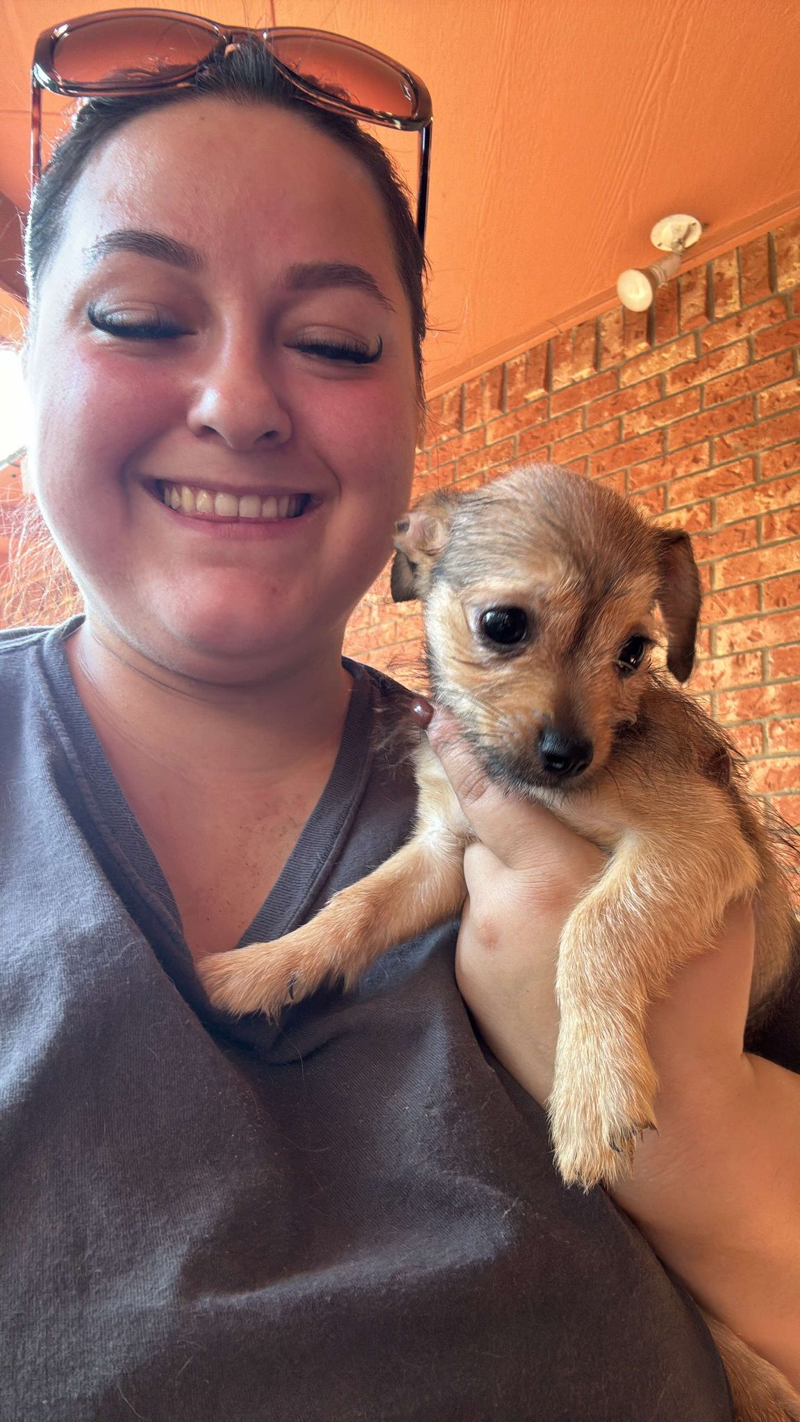 adoptable Dog in Manila, UT named Alice