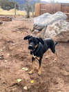 Zena - Photo 2