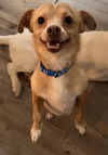 Milo