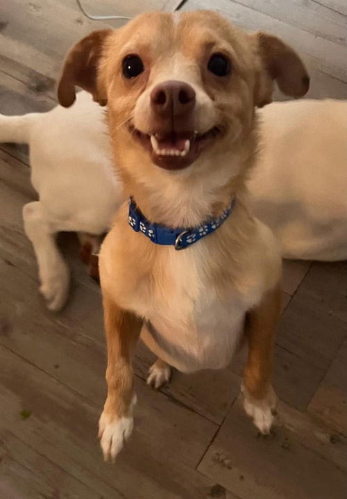 Milo