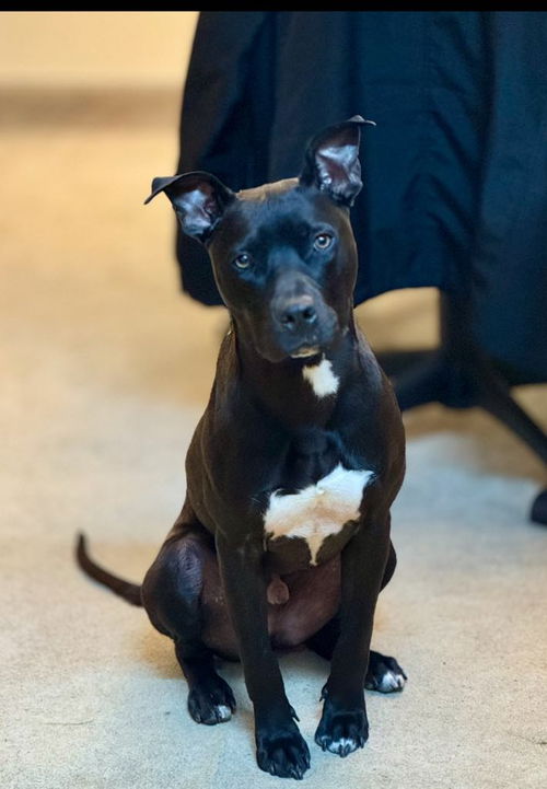 Benny