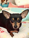 Molly