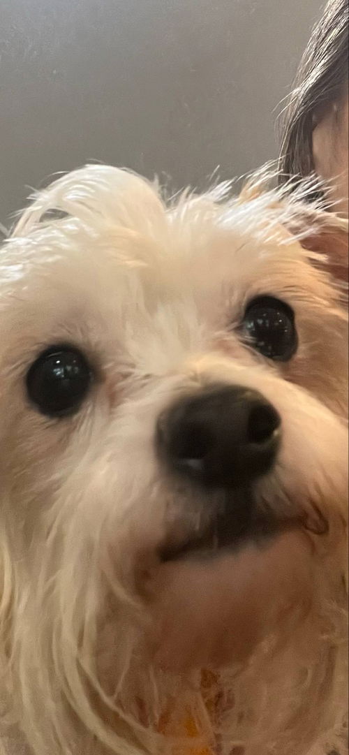 Ellie