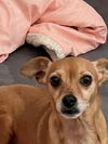 Penny Chi