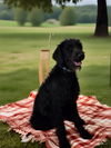 Junie June Bug