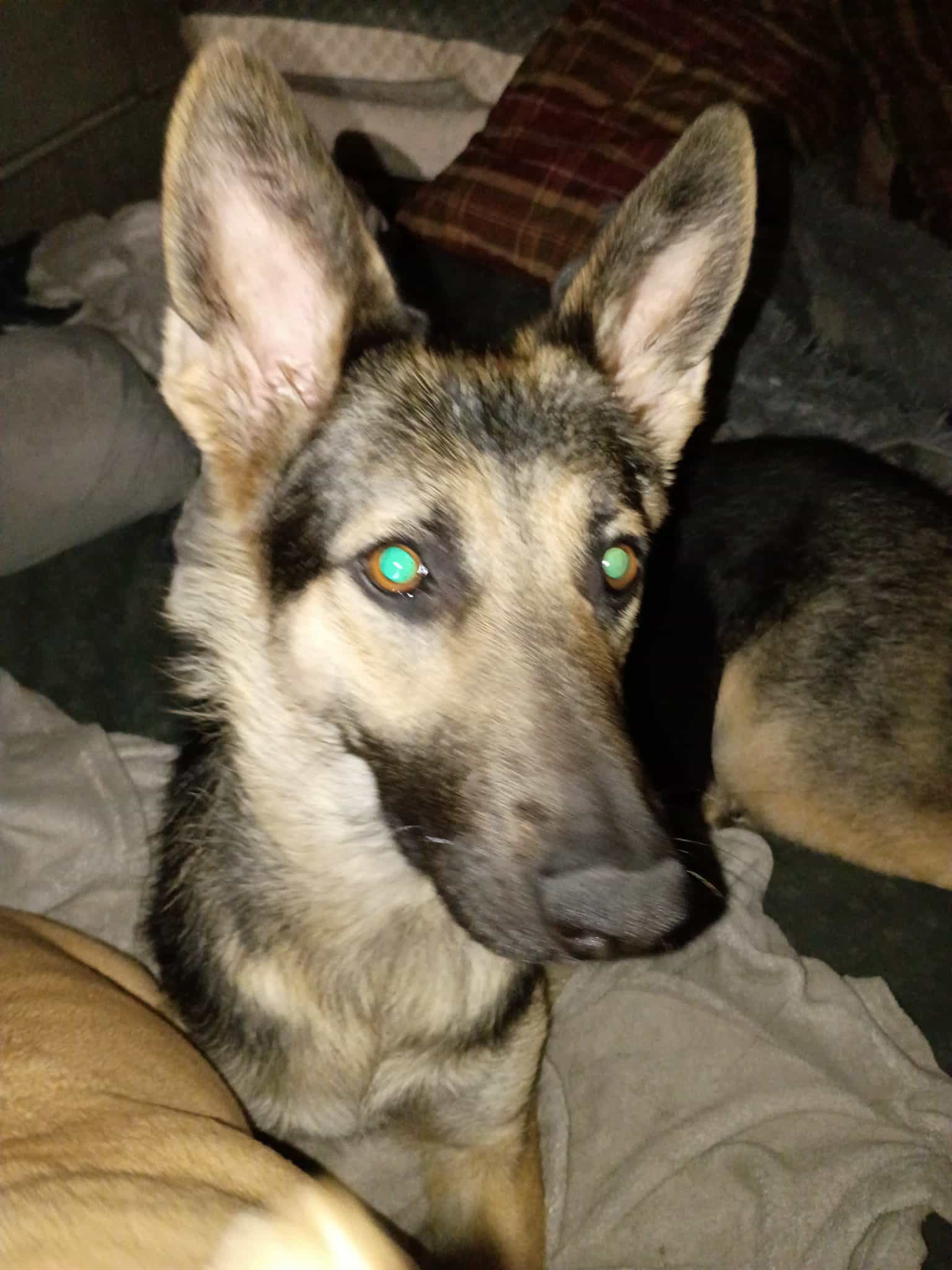 Neveah