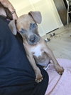 Turbo - Photo 3
