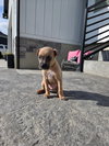 Turbo - Photo 4