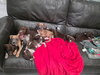 Turbo - Photo 6