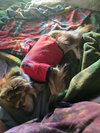 Mocha - Photo 5