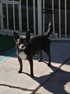 Gabe - Photo 3