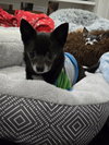 Gabe - Photo 4