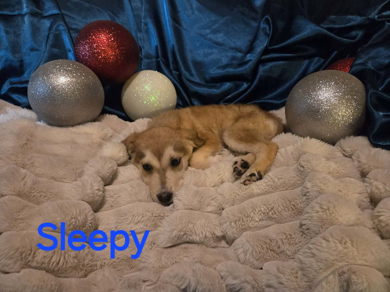 Sleepy
