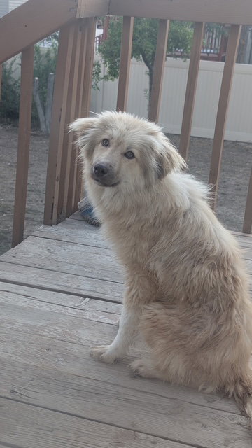Lola