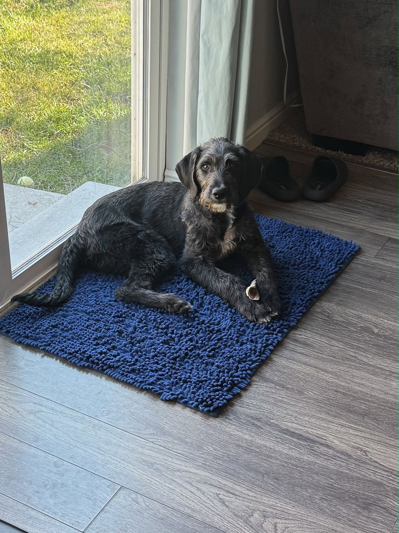 Tonka