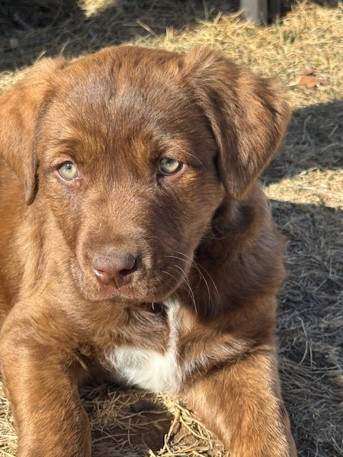 Max baby