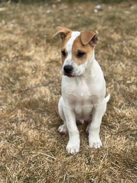 Pablo